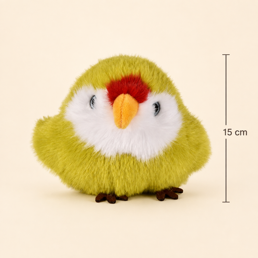 Birds of Paradise | Green Parakeet Budgie | Histoire d'Ours