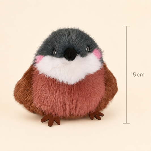 Birds of Paradise | Sparrow | Histoire d'Ours