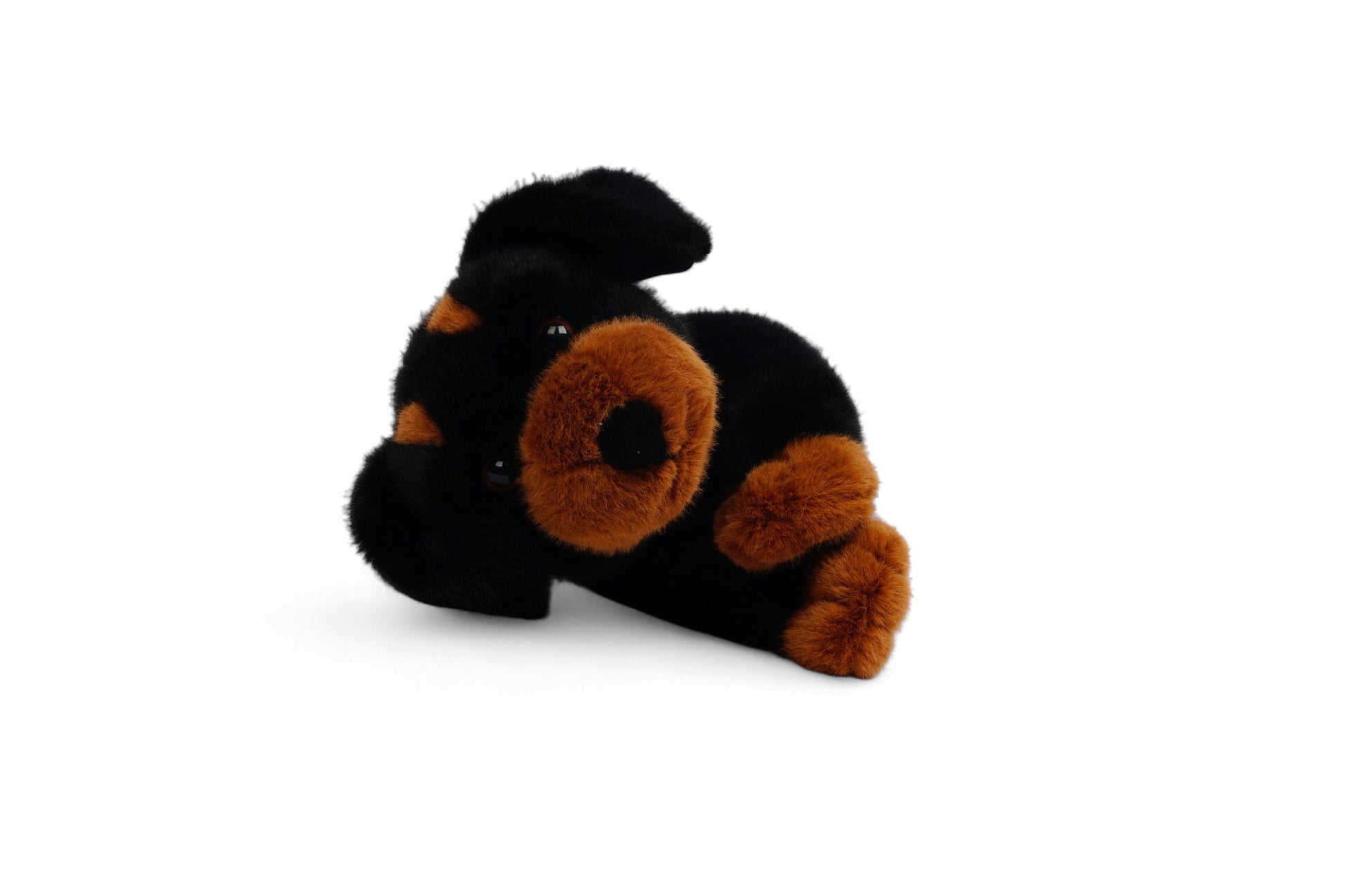 Pumpkin the Dachshund premium plush toy with floppy ears and caramel markings