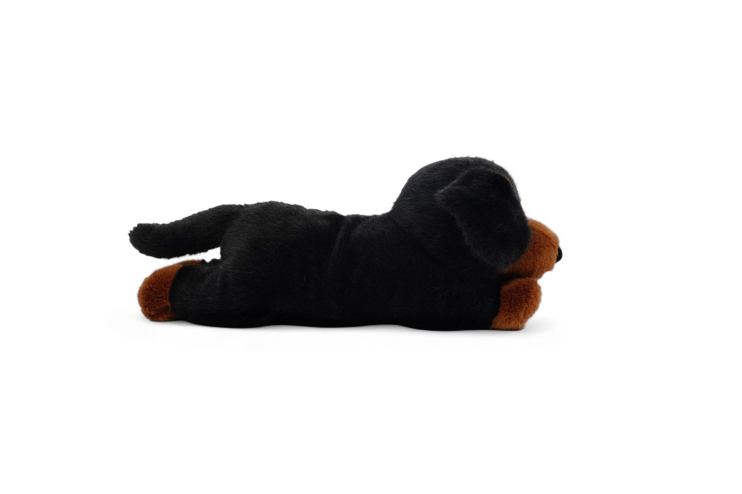 Black and tan dachshund plush toy for babies and children