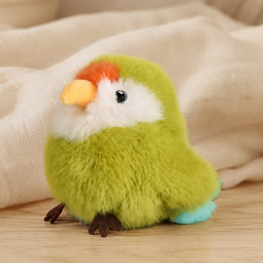 Birds of Paradise | Green Parakeet Budgie | Histoire d'Ours