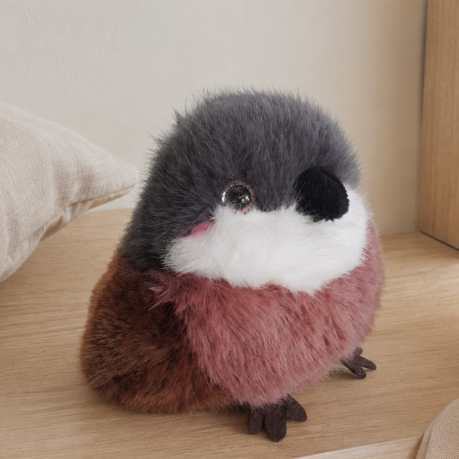 Birds of Paradise | Sparrow | Histoire d'Ours