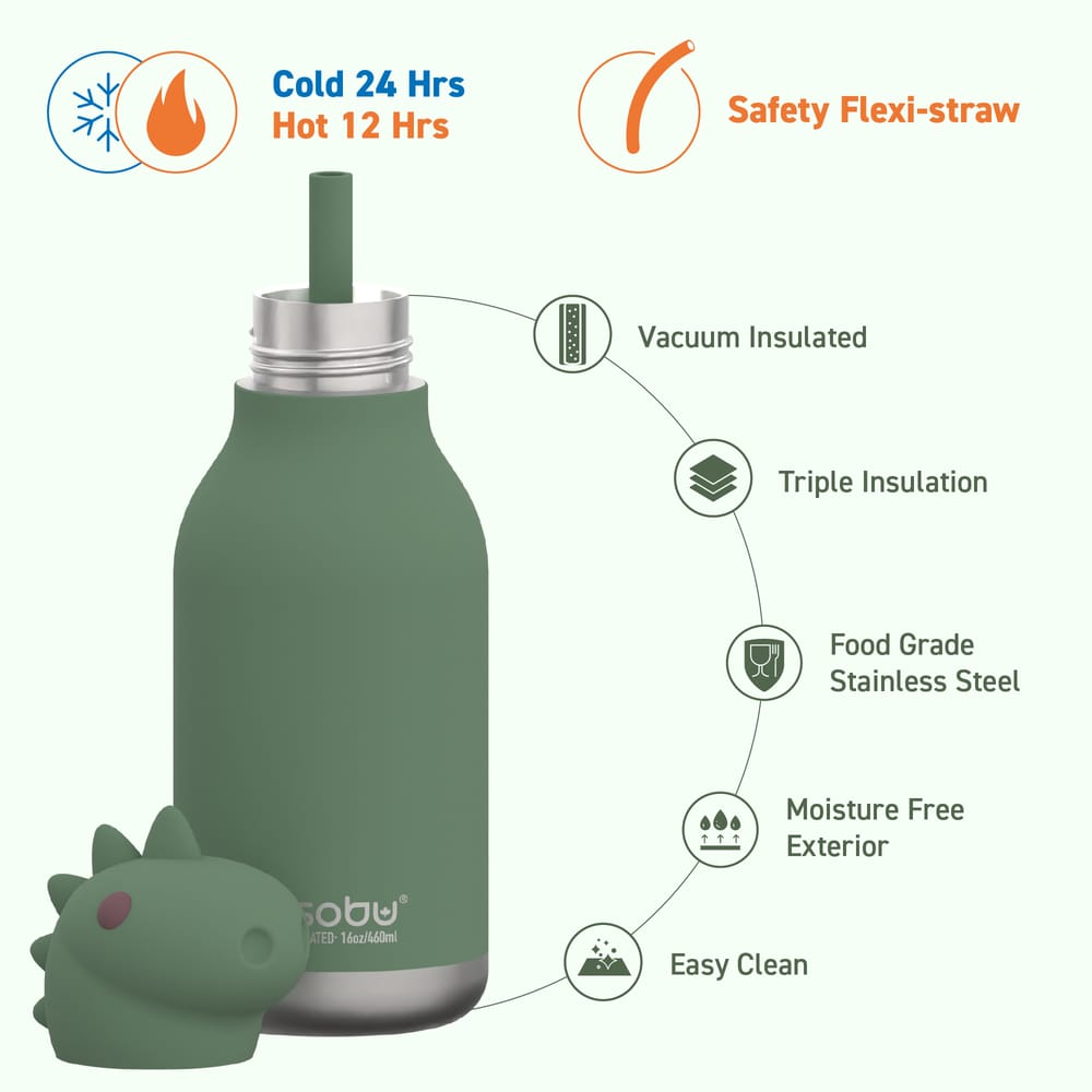 Asobu Dinosaur Bestie water bottle green silicone dino head stainless steel South Africa