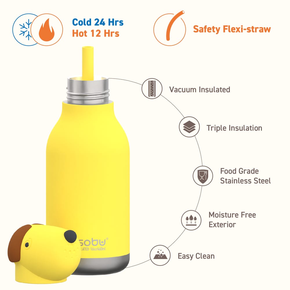 Asobu Doggie Dog Bestie water bottle brown silicone puppy head stainless steel South Africa